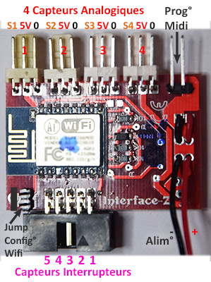 Connecteurs de la MiniWi
